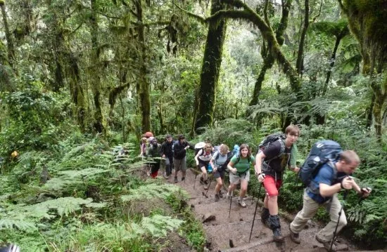 6 Days Machame Route