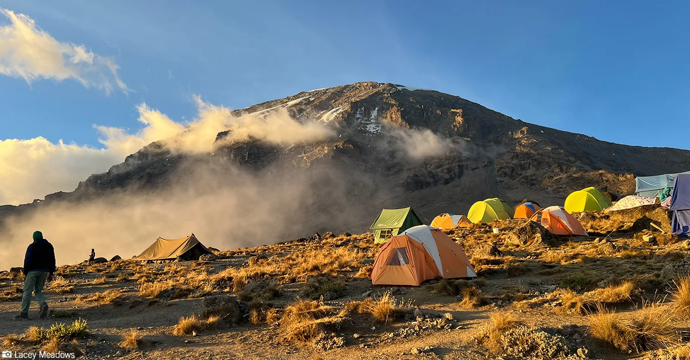 Livingwell Tours and Safaris