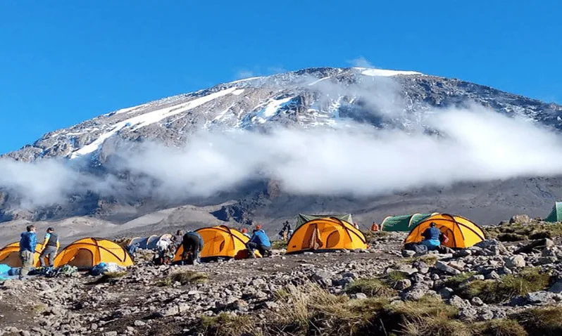 Livingwell Tours and Safaris