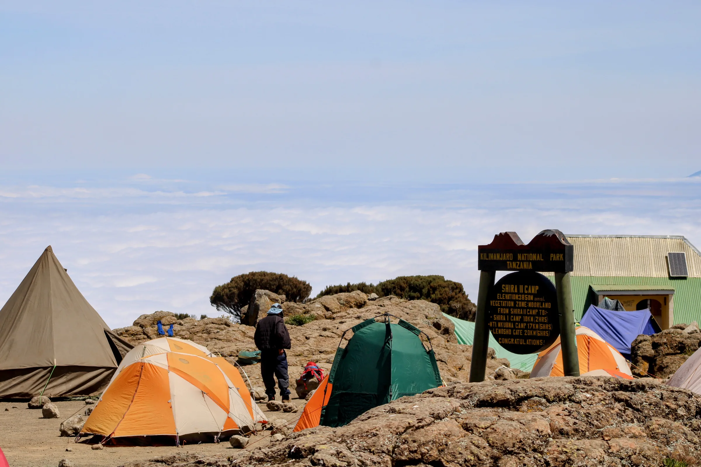 Livingwell Tours and Safaris