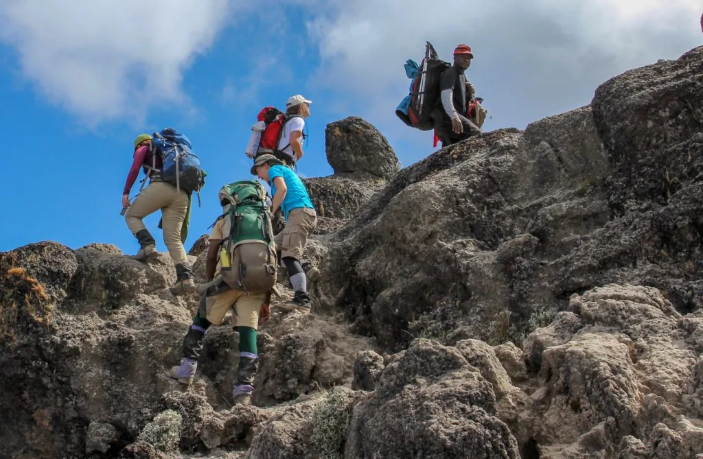 Livingwell Tours and Safaris