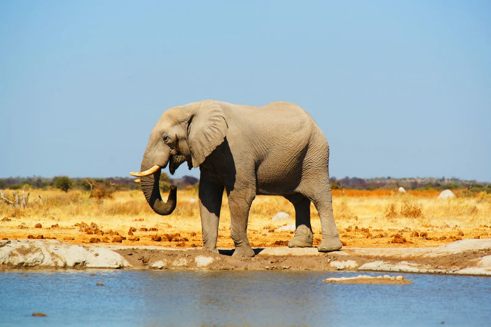 8-Day Ngorongoro Safari