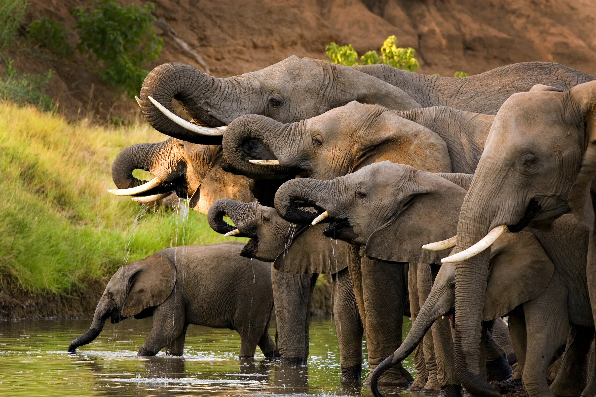 10-Day Ngorongoro Safari