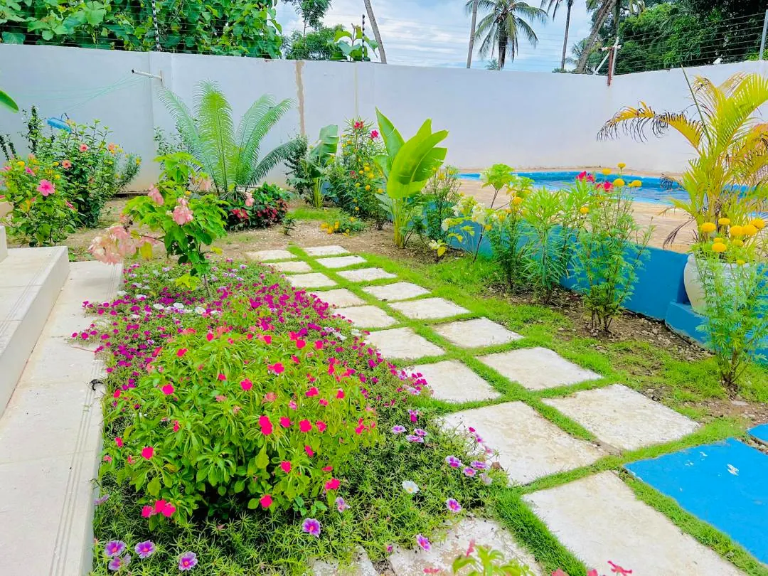 Tropical garden with flowering plants at Livingwell Zanzibar villa