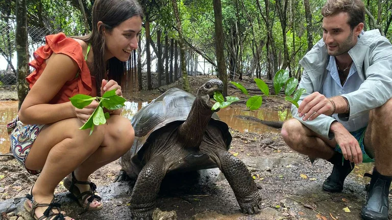 Visitors feeding a giant tortoise on Prison Island
